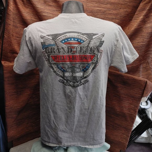 Billabong Harley Davidson Core Fit California Republic T-shirt L - Picture 2 of 3